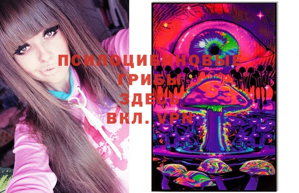 амф Мегион