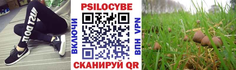 Галлюциногенные грибы Cubensis  Купить  Камбарка 